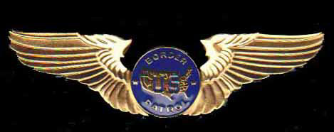 US Border Patrol Pilot Wings - Basic